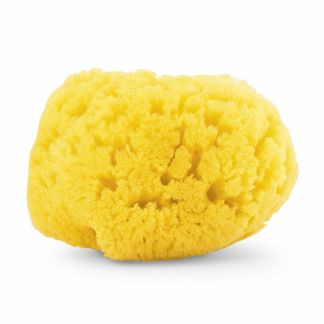 Chicco Spugna Marina naturale 0m+ - Farmasanitaria DuDù