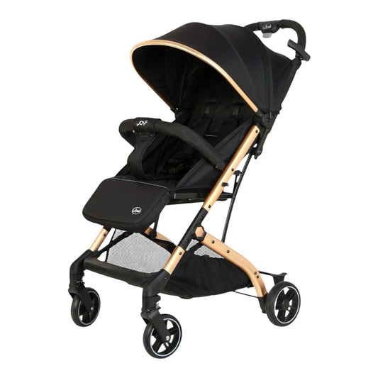 Passeggino Leonie Joy